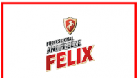 Диктор из рекламы антифриза FELIX